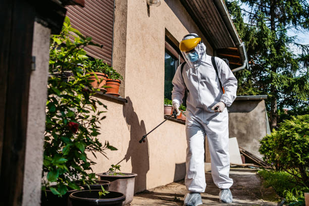 Best Flea Control Services  in Wayne Heights, PA