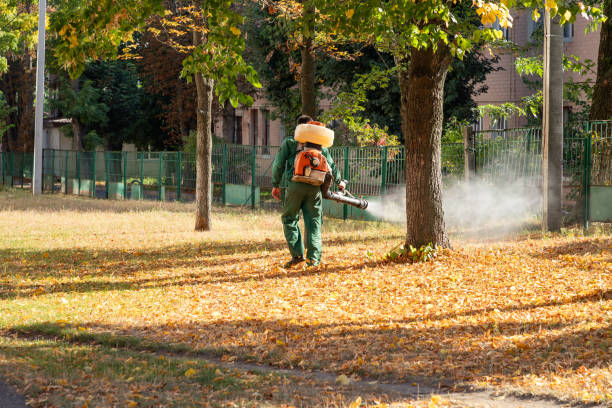 Best Local Pest Control Services  in Wayne Heights, PA