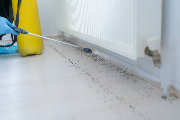 Best Wildlife Control Services  in Wayne Heights, PA